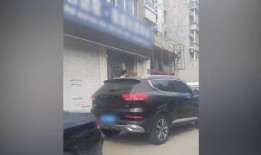 沈阳月亮最新爆料