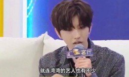 蔡徐坤事件爆料狗仔视频,揭秘背后真相与争议