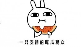 抖音网红瓜在线吃,揭秘网红幕后生活